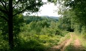 Trail Walking Érezée - Hoursinne. Natura 2000, des sites qui valent le détour. Lx 1 - Photo 3