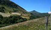 Trail Walking Lavigerie - Vallée de l'Impradine - Photo 3