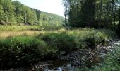 Randonnée Marche Ferrières - Rouge-Minière. Natura 2000, des sites qui valent le détour ! Lg 3 - Photo 3