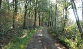 Randonnée Marche Plombières - Hombourg. Natura 2000, des sites qui valent le détour ! Lg6 - Photo 1