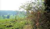 Tour Wandern Bleiberg - Hombourg. Natura 2000, des sites qui valent le détour ! Lg6 - Photo 9