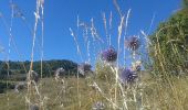 Randonnée Marche Val-Buëch-Méouge - Col de blauge - Photo 4