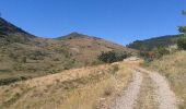 Tocht Stappen Val-Buëch-Méouge - Col de blauge - Photo 2