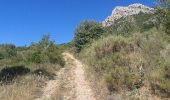 Randonnée Marche Val-Buëch-Méouge - Col de blauge - Photo 18