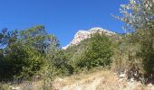 Randonnée Marche Val-Buëch-Méouge - Col de blauge - Photo 17