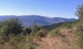 Randonnée Marche Val-Buëch-Méouge - Col de blauge - Photo 16