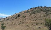 Randonnée Marche Val-Buëch-Méouge - Col de blauge - Photo 13