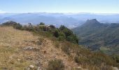 Tocht Stappen Val-Buëch-Méouge - Col de blauge - Photo 11