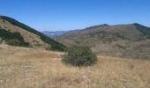 Randonnée Marche Val-Buëch-Méouge - Col de blauge - Photo 8