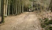 Trail Walking Marchin - MARCHIN - Bois Guillaume - Photo 6