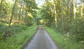 Trail Walking Liessies - mrlobo - Photo 9