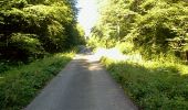 Trail Walking Liessies - mrlobo - Photo 6
