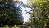 Trail Walking Liessies - mrlobo - Photo 4