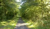 Trail Walking Liessies - mrlobo - Photo 2