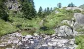 Trail Walking Aulus-les-Bains - cascade ars et etang guzet - Photo 4