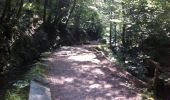 Trail Walking Aubazines - du Lac du Coiroux au canal des moines  - Photo 2