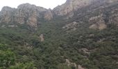 Randonnée Marche Colombières-sur-Orb - LES GORGES DE COLOMBIERES - Photo 11