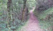 Trail Walking Arette - transumance - Photo 1