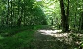 Trail Walking Piney - Fontaine Colette - Photo 1