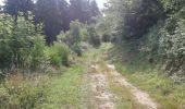 Trail Walking Saint-Victor - montplot - Photo 6