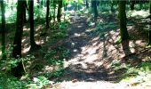 Tour Wandern Longpont - en forêt de Retz_4_Longpont_monument Mangin_AR - Photo 18