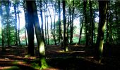 Tocht Stappen Longpont - en forêt de Retz_4_Longpont_monument Mangin_AR - Photo 11