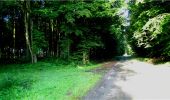 Randonnée Marche Longpont - en forêt de Retz_4_Longpont_monument Mangin_AR - Photo 6
