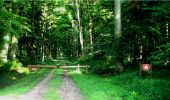 Trail Walking Longpont - en forêt de Retz_4_Longpont_monument Mangin_AR - Photo 7