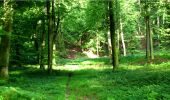 Trail Walking Longpont - en forêt de Retz_4_Longpont_monument Mangin_AR - Photo 8