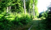 Randonnée Marche Longpont - en forêt de Retz_4_Longpont_monument Mangin_AR - Photo 4