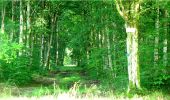 Percorso Marcia Longpont - en forêt de Retz_4_Longpont_monument Mangin_AR - Photo 5