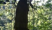 Tocht Stappen Albussac - Les 3 Cascades de Murel - Photo 6