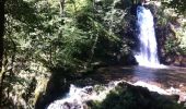 Excursión Senderismo Albussac - Les 3 Cascades de Murel - Photo 5