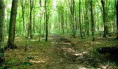 Trail Walking Longpont - en forêt de Retz_5_Longpont_rond d'Orleans_AR - Photo 16