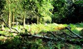Percorso Marcia Longpont - en forêt de Retz_5_Longpont_rond d'Orleans_AR - Photo 8