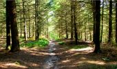 Trail Walking Longpont - en forêt de Retz_5_Longpont_rond d'Orleans_AR - Photo 7