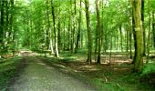 Trail Walking Longpont - en forêt de Retz_5_Longpont_rond d'Orleans_AR - Photo 11