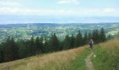 Trail Walking La Forclaz - col de tréchaussée - Photo 2