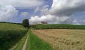 Tocht Stappen Wezet - lanaye maastricht lanaye - Photo 16