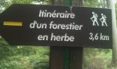 Tour Wandern Locquignol - pâture d'Haisne www.foretdemormal.fr - Photo 7
