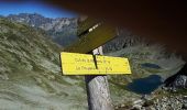 Tocht Lopen La Chapelle-en-Valgaudémar - lacs de Petarel  - Photo 2