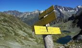 Percorso Corsa a piedi La Chapelle-en-Valgaudémar - lacs de Petarel  - Photo 1