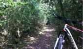 Tocht Mountainbike Chassey-le-Camp - bouzeron aubigny rully remigny  - Photo 3