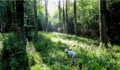 Randonnée Marche Longpont - en forêt de Retz_6_Longpont-MF des tetes de Chavigny_AR - Photo 9
