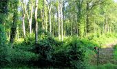 Tocht Stappen Longpont - en forêt de Retz_6_Longpont-MF des tetes de Chavigny_AR - Photo 20