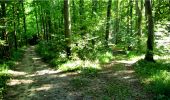 Trail Walking Longpont - en forêt de Retz_6_Longpont-MF des tetes de Chavigny_AR - Photo 6
