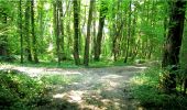 Randonnée Marche Longpont - en forêt de Retz_6_Longpont-MF des tetes de Chavigny_AR - Photo 7