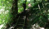Trail Walking Viroinval - Dourbes Fédéral - Photo 4