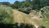 Trail Walking Saint-Aignan - GR41 et bord de Cher quand même possible - Photo 10