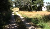 Trail Walking Saint-Aignan - GR41 et bord de Cher quand même possible - Photo 8